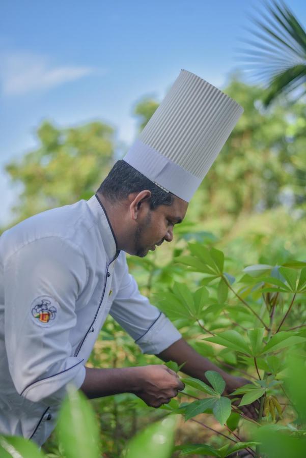 Subaseth Villa Anuradhapura Eksteriør bilde