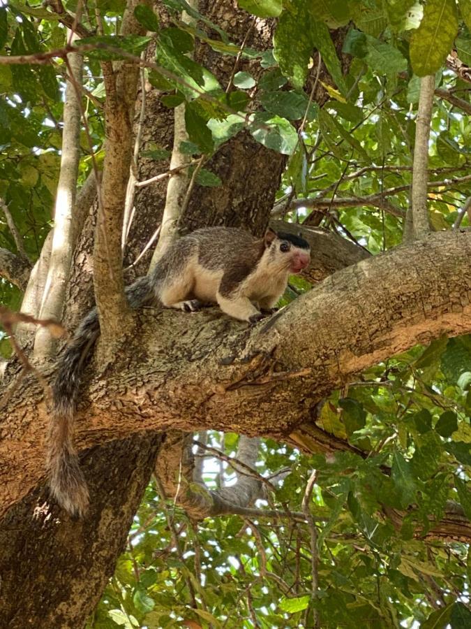 Subaseth Villa Anuradhapura Eksteriør bilde