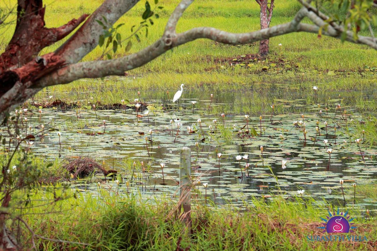 Subaseth Villa Anuradhapura Eksteriør bilde